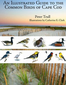 Illustrated Guide to the Common Birds of Cape Cod, An Cheap