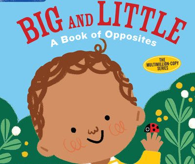 Indestructibles: Big and Little: A Book of Opposites: Chew Proof - Rip Proof - Nontoxic - 100% Washable (Book for Babies, Newborn Books, Safe to Chew) Cheap