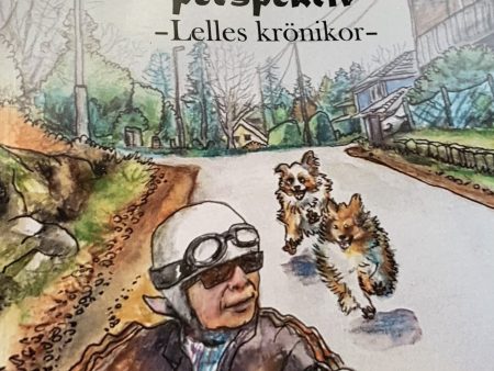 Vardagsliv ur mitt perspektiv : Lelles krönikor on Sale