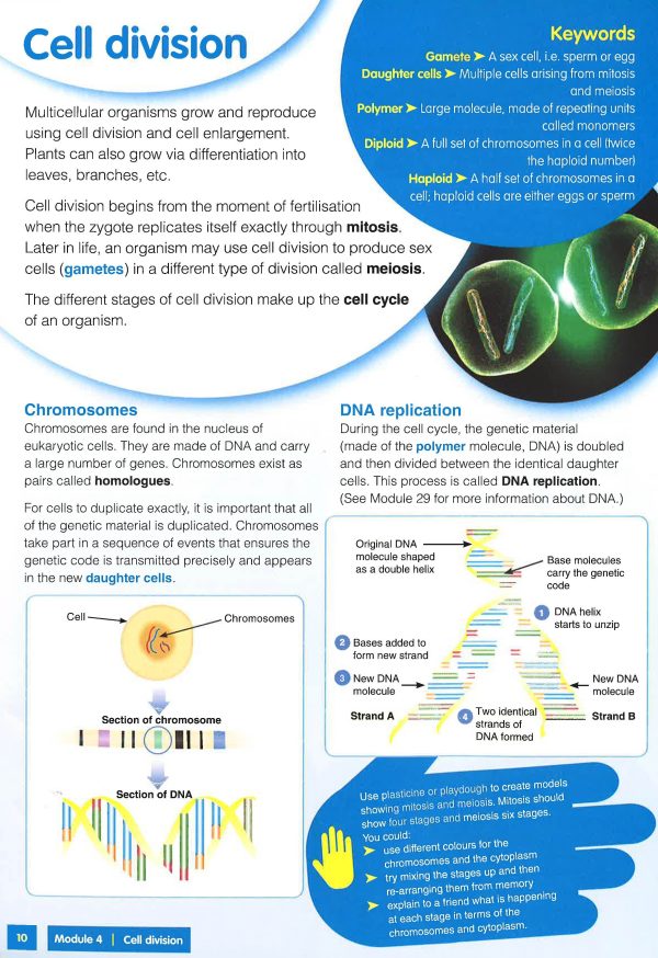 Gcse 9-1 Biology Revision Guide Discount