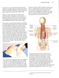 Healing Massage: An A-Z Guide For More Than Forty Medical Conditions For Professional And Home Use Fashion