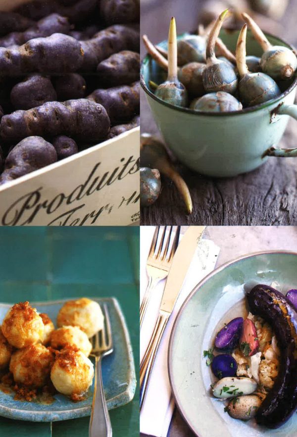 Potatoes: 101 Recipes - A Passion For Spuds Hot on Sale